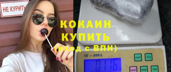 ГАЛЛЮЦИНОГЕННЫЕ ГРИБЫ Осинники