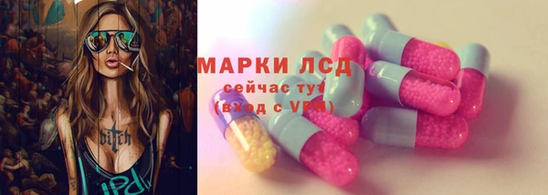 ГАЛЛЮЦИНОГЕННЫЕ ГРИБЫ Осинники