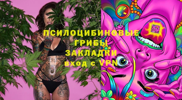 ГАЛЛЮЦИНОГЕННЫЕ ГРИБЫ Осинники