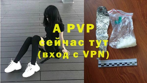 ГАЛЛЮЦИНОГЕННЫЕ ГРИБЫ Осинники
