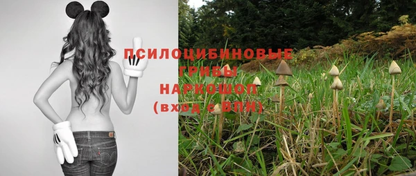 ГАЛЛЮЦИНОГЕННЫЕ ГРИБЫ Осинники